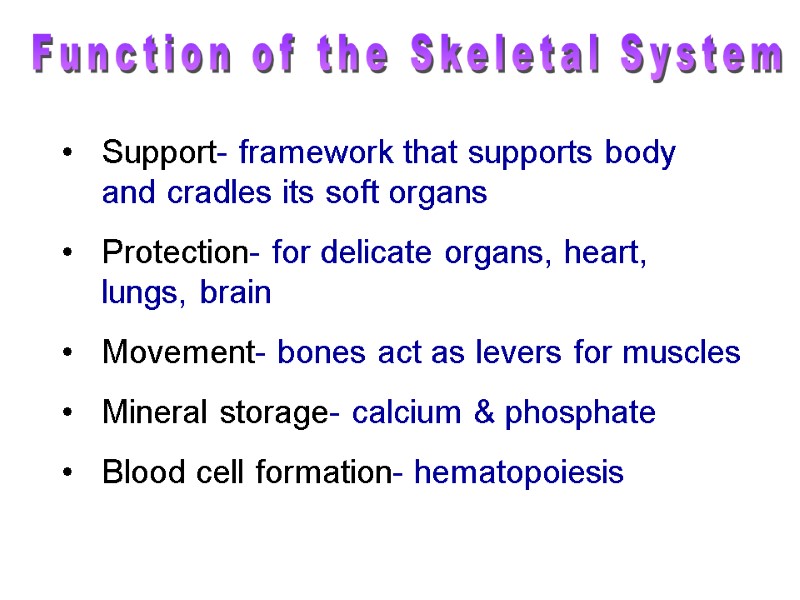 Function of the Skeletal System Support- framework that supports body  and cradles its